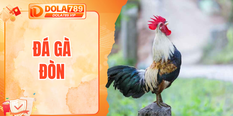 đá gà đòn