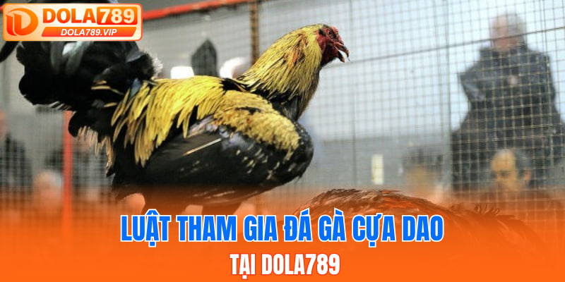 Luật tham gia đá gà cựa dao tại DOLA789