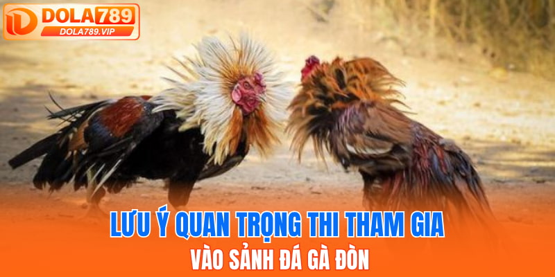 Lưu ý quan trọng thi tham gia vào sảnh đá gà đòn