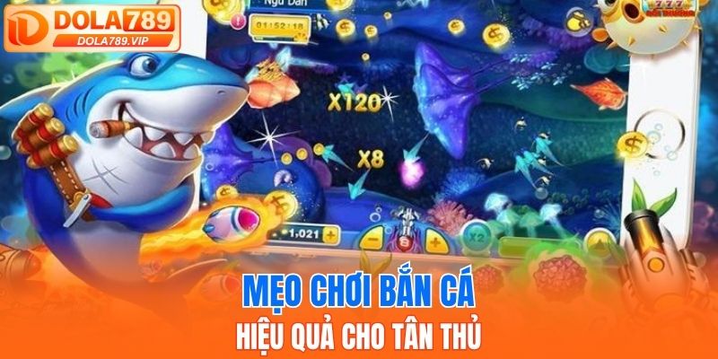 Mẹo bắn cá đổi thưởng đỉnh cao, hiệu quả cho tân thủ