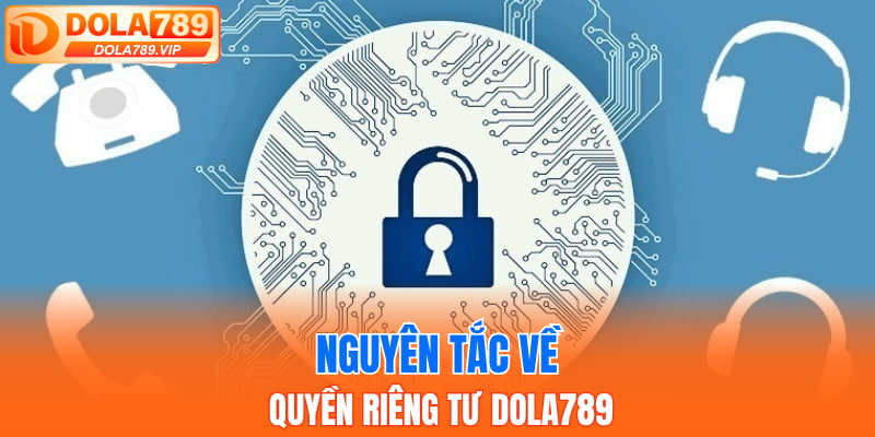 Nguyên tắc về quyền riêng tư DOLA789