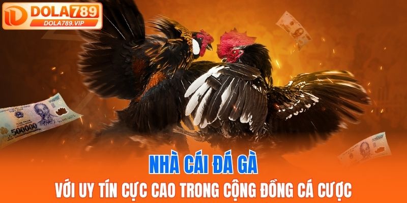 Nhà cái đá gà với uy tín cực cao trong cộng đồng cá cược