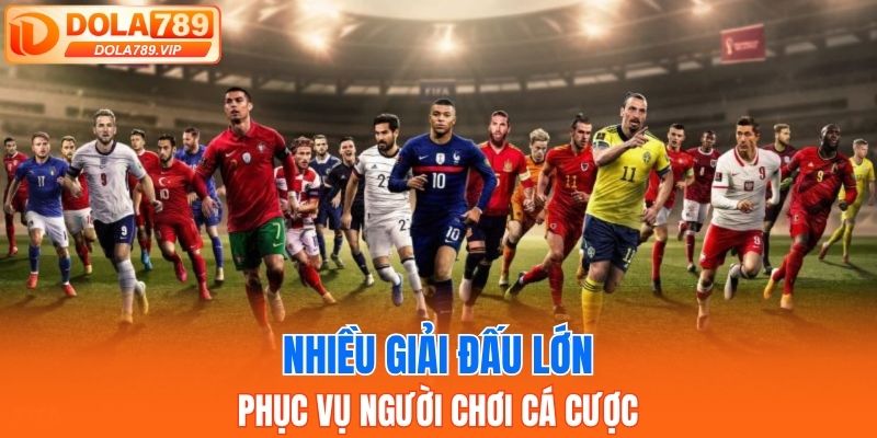 Nhiều giải đấu lớn phục vụ người chơi cá cược