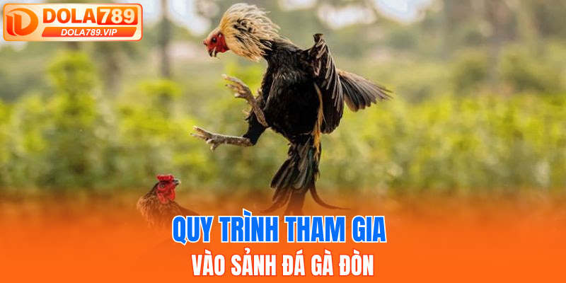 Quy trình tham gia vào sảnh đá gà đòn